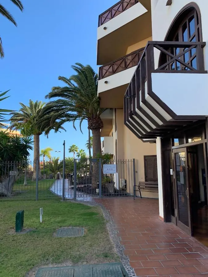¡Encantador Estudio Con Vistas! Edificio Albatros San Miguel de Abona Apartment
